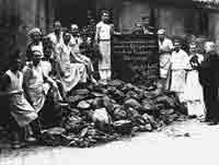 Bienvenidos al diario de La Camocha